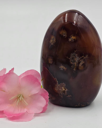 Madagascan Carnelian Agate freeforms