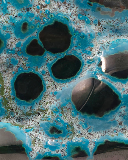 Stunning Chrysocolla & Malachite Freeforms