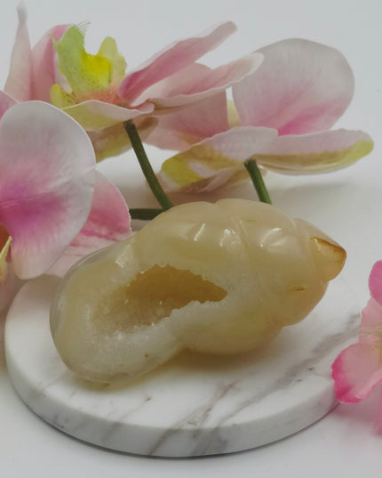Carnelian Snail Shell Carving
