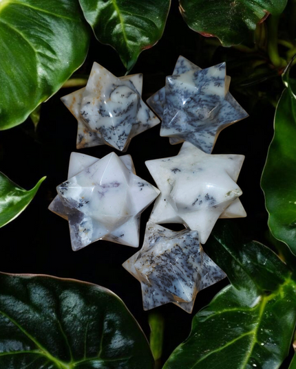 Dendridic agate merkaba stars