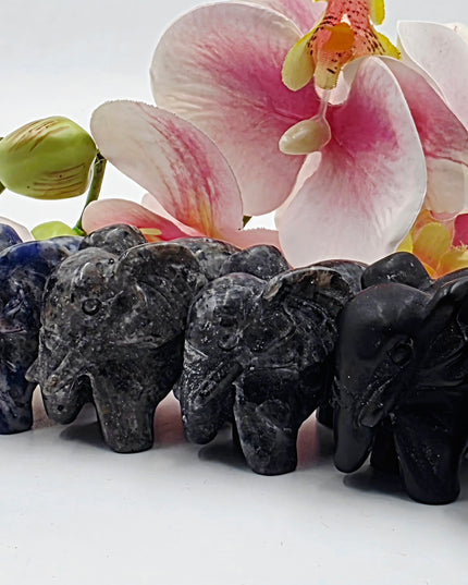 Elephant carvings