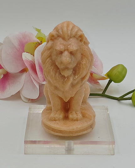 Lion carvings