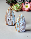 5: Caribbean calcite