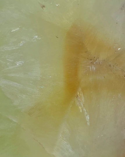 Prehnite slice with Natrolite