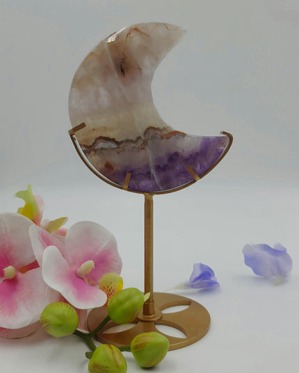 Crazy Lace/Amethyst Moons