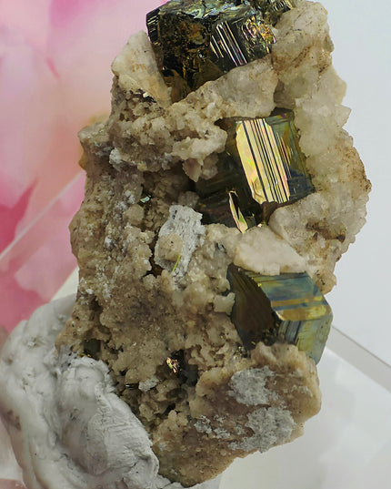 Super rare Pyrite from Vera Cruz, Mexico
