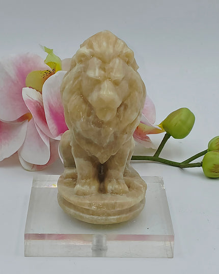 Lion carvings