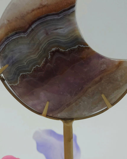 Crazy Lace/Amethyst Moons