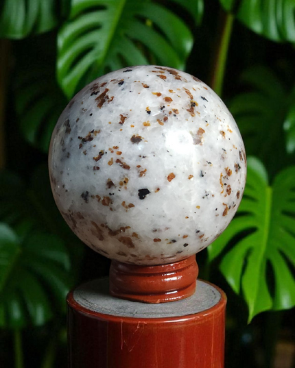 Rare Spessartine yellow garnets sphere in  quartz and feldspar matrix.