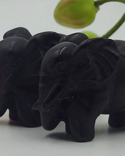 Elephant carvings